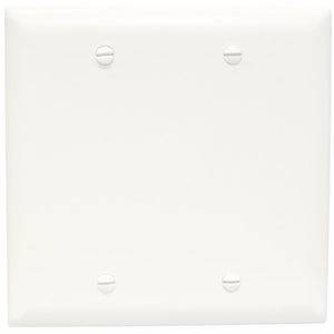 Pass & Seymour TP23-W 2Gang Wall Plate, Blank, Box Mount, Nylon, Standard - White