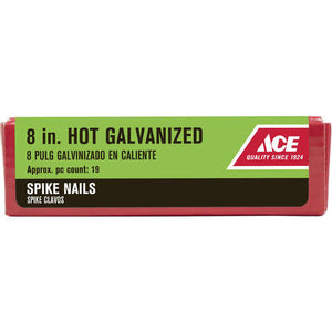 Ace 8 in. Spike Hot-Dipped Galvanized Steel Nail Diamond Head 5 lb